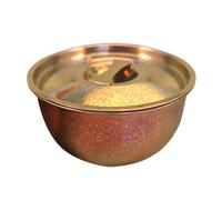 Pocoiau Singolo Strato Metallo 600ml Ciotola Isolante Coperchio Soluzione Pasto Caldo Contenitore Pranzo Con Coperchio Per Gli Appassionati All'aperto Ciotola In Metallo Per Escursioni