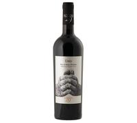 Podere 29 Unio Puglia IGT 2024 0,75 l