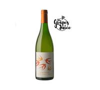 PODERE ERICA LE RONDINI 2020 VINO ORANGE BIO TOSCANA IGT