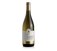 Podere Santa Lucia "Pellegrino" VERDICCHIO dei Castelli di Jesi Classico DOC | Vino Bianco Marche BIO Biologico | Bottiglia 75cl.