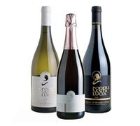 Podere Santa Lucia Selezione ECCELLENZE (Verdicchio Superiore DOC, Lacrima di Morro d'Alba Superiore DOC, Spumante BRUT Rosè Lacrima METODO CLASSICO 30 mesi Millesimato) | Confezione 3 Bottiglie 75cl.