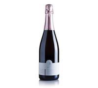Podere Santa Lucia Spumante BRUT Rosè Lacrima di Morro d'Alba METODO CLASSICO Champenoise Millesimato | Vino Rosato Frizzante BIO Biologico | 30 MESI sui lieviti | Bottiglia 75cl.