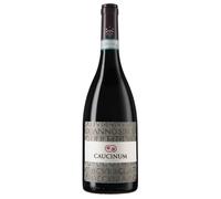 Poderi Trabucco Aurilio Caucinum Falerno del Massico DOC Riserva 2019 0,75 ℓ