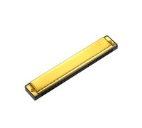 POENVFPO Armonica a 24 Fori in Chiave C, Armonica Polifonica Professionale con Struttura in Titanio e ABS, Molle in Bronzo Fosforoso per Blues Folk Jazz, Perfetta per Principianti con Manuale (GOLD)