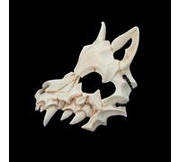 POENVFPO Maschera del Dio Drago di Halloween, Maschera da Scheletro in Resina Unisex per Feste, Design Spaventoso per Cosplay e Spettacoli Teatrali (WHITE)