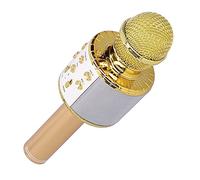POENVFPO Microfono Wireless Bluetooth Microfono Karaoke ABS Metallo 5W Altoparlante 2400mAh LED Cambio Vocale per Riunioni di Feste Canto Performance