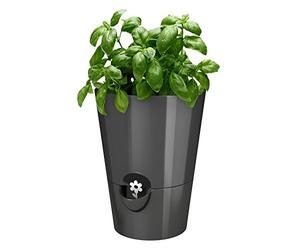 Poetic Fresh Herbs Vaso Erbe Aromatiche, Granito, 13x17 cm