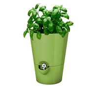 Poetic Fresh Herbs Vaso Erbe Aromatiche, Verde, Senza la pianta, 13x17 cm