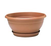 Poetic - Vaso di loto in terracotta