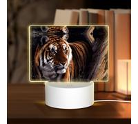 POEZJZW Bengala Tiger modello rettangolare acrilico notte luce touch interruttore accento per librerie, scrivanie comodini