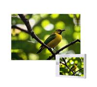 Poezjzw Bluebird - Puzzle classico per adulti, 1000 pezzi, in legno, decorazione moderna per la casa, gioco intellettuale, 75 x 50 cm