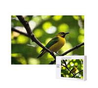 Poezjzw Bluebird - Puzzle classico per adulti, 300 pezzi, in legno, decorazione moderna per la casa, gioco intellettuale, 40 x 28 cm