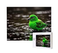 Poezjzw Bluebird - Puzzle classico per adulti, 500 pezzi, puzzle in legno, decorazione moderna per la casa, gioco intellettuale, 52 x 38 cm