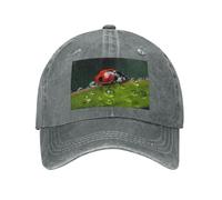 POEZJZW Cappello da baseball con motivo coccinella a sette stelle per uomo donna cappelli da cowboy regolabili cappelli da sole unisex nero