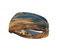 Poezjzw Fascia elastica per capelli con giraffa e animali dell'Africa, adatta per corsa, yoga, corsa, ciclismo, fascia elastica per l'umidità