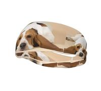 Poezjzw Fascia elastica per capelli con motivo basset hound, adatta per corsa, yoga, traspirante