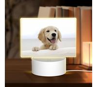 POEZJZW Golden Cute Dog Pattern Led Lampada Base Luce Notte Acrilico USB 3 Modalità per Camera Cafe Bar Festa di Compleanno
