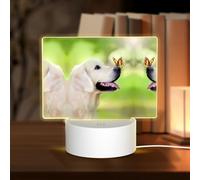 POEZJZW Golden Dog con Farfalla Modello Led Lampada Base Luce Notte Acrilico USB 3 Modalità per Camera Cafe Bar Festa di Compleanno