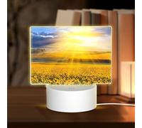POEZJZW Golden Girasole Modello Led Lampada Base Luce Notte Acrilico USB 3 Modalità per Camera Cafe Bar Festa di Compleanno
