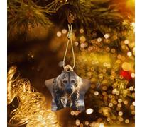 Poezjzw Ornamento natalizio in ceramica a forma di iena solitaria a forma di stella, regalo per vacanze di Natale, ornamenti per la decorazione della casa