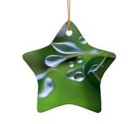 Poezjzw Ornamento natalizio in ceramica a forma di stella con motivo rugiada mattutina, regalo per vacanze di Natale, ornamenti per la decorazione della casa