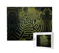 Poezjzw Puzzle labirinti per adulti 500 pezzi puzzle in legno per la famiglia amico decorazione della casa arte della parete 50,4 x 15 pollici