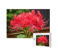 Poezjzw Puzzle Per Adulti 300 Pezzi Adatto Per Il Tempo Libero Famiglia E Migliorare Hands-On Abilità Red Spider Lily Pattern
