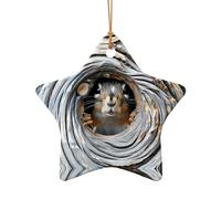 Poezjzw Squirrel Looking Pattern Ceramic Christmas Ornament Star Shape Hanging Pendant Gifts For Christmas Holidays, Ornamenti per la decorazione domestica