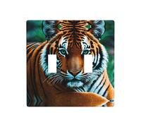 Poezjzw Tiger's Gaze Pattern decorativo interruttore luce piastra copre 2 gang piastra da parete doppia interruttore interruttore copertura 11,4 x 11,4 cm
