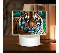 POEZJZW Tiger's Gaze Pattern Rettangolo Acrilico Luce Notte con Cavo USB Regolabile 3 Colori per Ristorante Bar Cafe