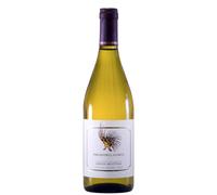 Poggio della Costa Civitella d’Agliano Grechetto IGT Biologico Tappo Vite 2023 - Mottura Sergio