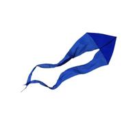 POGHYD Aquilone for bambini, giocattolo da esterno, 21,3 piedi (650 cm), giocattolo volante a forma di fantasma, regalo di compleanno for bambini, parco giochi, ragazzi e ragazze.(Blue)