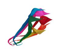 POGHYD Aquilone morbido, popolare, aquilone rotante a tubo, colorato, facile da usare, decorativo, aquilone rotante, aquilone volante for parchi, sport, praterie, mare(Multicolor)