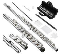 POGOLAB Flauti, Foro Chiuso C 16 Tasti, Flauto per Studenti Principianti Avanzati, con Kit di Pulizia per Flauto, Borsa per il Trasporto, Cinghia, Asta Sonda, Guanti, Grasso, Placcato Nickel