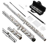 POGOLAB Flauto in C a foro aperto, 16 chiavi, strumento flauto per principianti e avanzati, con borsa per il trasporto, cinghia, guanti, cacciavite di regolazione, kit di pulizia (foro aperto/chiuso