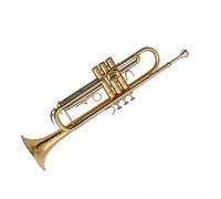 POHTYIT Tromba in SIB Strumento A Tre Toni Principiante Professionale Portatile Tono Standard(Gold)