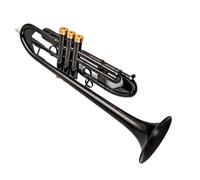 POHTYIT Tromba Piccola in SIB Nichel Nero Strumenti Musicali Professionali Suono Standard dello Strumento Tromba