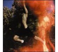 Poi Dog Pondering - Soul Sonic Orchestra