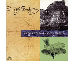 Poi Dog Pondering - Wishing Like a Mountain & Thin