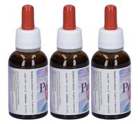 Poiesis Due Gocce 3x30 ml Gocce orali
