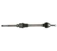 POINT GEAR Giunto Anteriore Per Peugeot 301 Citroën C-Elysee