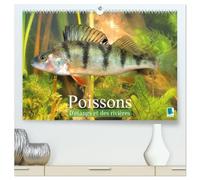 Poissons : d'étangs et des rivières (Calendrier mural 2027 DIN A2 vertical) calendrier de bureau: Prises de vues sous-marines grandioses de poissons qui évoluent dans nos eaux