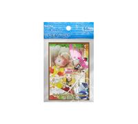 Pokémon Card Game Official Sleeves Pokémon Center Serena Braixen & Vivillon (64)