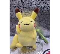 Pokemon Center 30th Anniversary Pikachu,Ditto Mascotte Portachiavi Ufficiale