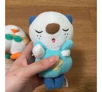 Pokemon Plush Peluche Doll Action Figure Pikachu Charmander Squirtle Oshawott
