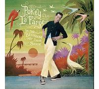 Pokey LaFarge In the Blossom of Their Shade (CD) Album
