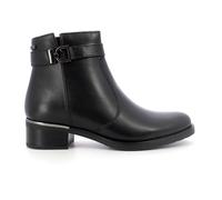 POLACCO VITELLO DONNA VALLEVERDE cod. 47533