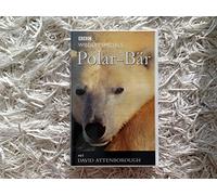 Polar-Bär - Wildlife Specials