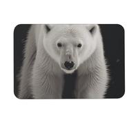 Polar Bear Diatom fango, tappetino da bagno assorbe l'umidità e lo sporco, zerbino con retro in gomma antiscivolo, adatto sotto la porta, per pavimento del bagno, vasca, doccia, lavandino