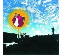 Polar Bear In Each and Every One (Vinyl LP) 12" Album with CD